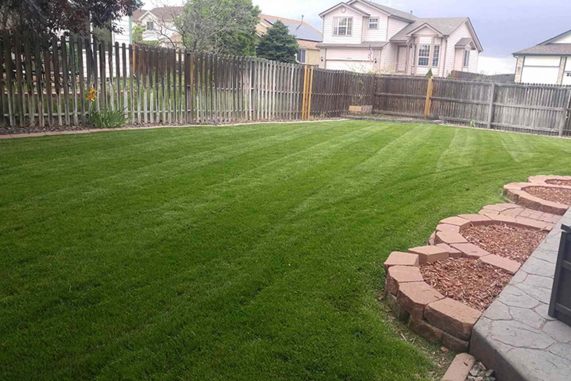 Epic Lawn Pro